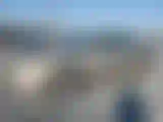 Vehicle Image- 2009 Toyota Camry