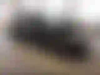 Vehicle Image- 2014 Toyota Camry