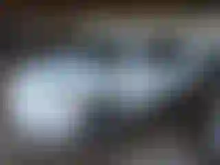 Vehicle Image- 2010 Toyota Camry