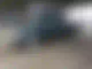 Vehicle Image- 1998 Toyota Tacoma