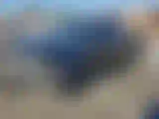 Vehicle Image- 1998 Toyota Tacoma