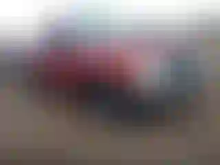 Vehicle Image- 1998 Toyota Tacoma