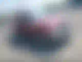 Vehicle Image- 2000 Toyota Tacoma