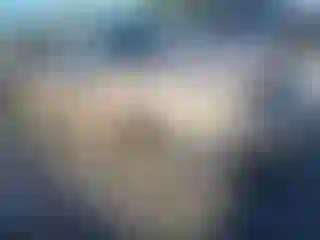 Vehicle Image- 1999 Toyota Tacoma