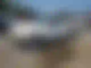 Vehicle Image- 2000 Toyota Tacoma