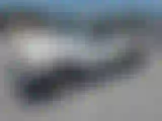 Vehicle Image- 1998 Toyota Tacoma