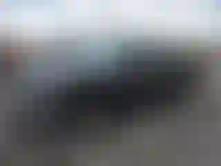 Vehicle Image- 1998 Toyota Tacoma