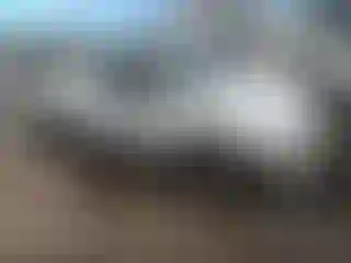 Vehicle Image- 2000 Toyota Tacoma