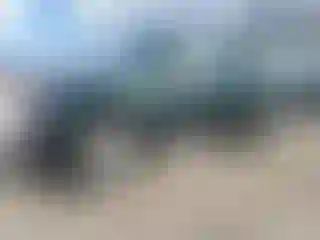 Vehicle Image- 1999 Toyota Tacoma