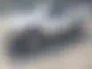 Vehicle Image- 1999 Toyota Tacoma