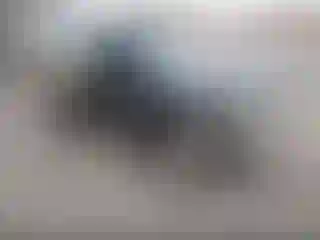 Vehicle Image- 1996 Toyota Tacoma