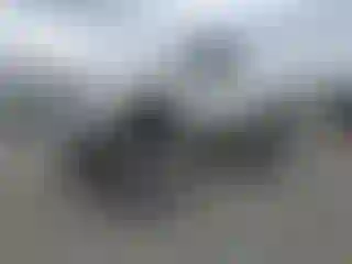 Vehicle Image- 1998 Toyota Tacoma