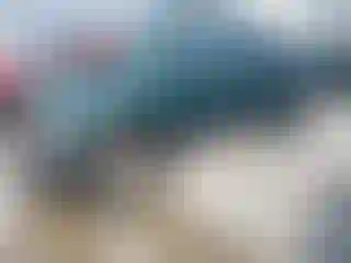 Vehicle Image- 2000 Toyota Tacoma