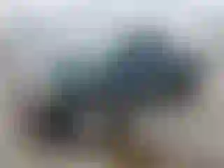 Vehicle Image- 2000 Toyota Tacoma