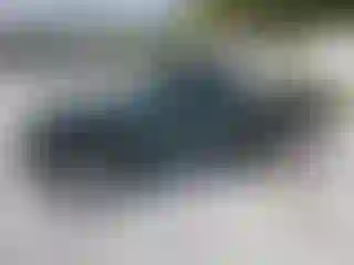 Vehicle Image- 1999 Toyota Tacoma
