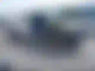 Vehicle Image- 2000 Toyota Tacoma