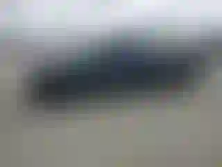 Vehicle Image- 1999 Toyota Tacoma