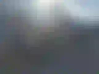 Vehicle Image- 2000 Toyota Tacoma