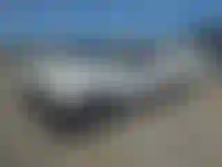 Vehicle Image- 1995 Toyota Tacoma