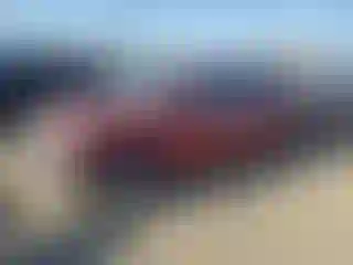 Vehicle Image- 1996 Toyota Tacoma