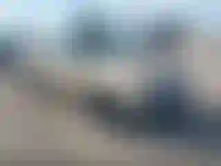 Vehicle Image- 1996 Toyota Tacoma