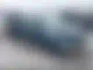 Vehicle Image- 1998 Toyota Tacoma