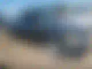 Vehicle Image- 1999 Toyota Tacoma