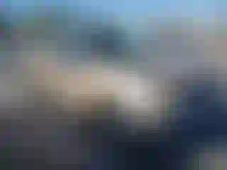 Vehicle Image- 1999 Toyota Tacoma