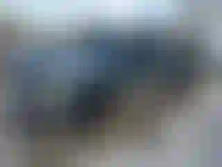 Vehicle Image- 1996 Toyota Tacoma