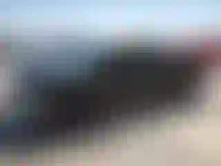 Vehicle Image- 1998 Toyota Tacoma