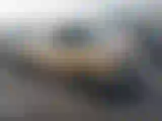 Vehicle Image- 1996 Toyota Tacoma