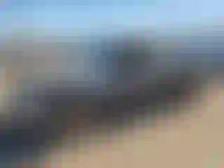 Vehicle Image- 2000 Toyota Tacoma