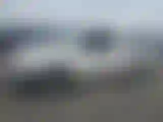 Vehicle Image- 1999 Toyota Tacoma