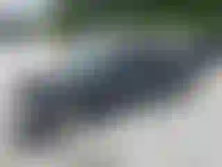 Vehicle Image- 2000 Toyota Tacoma