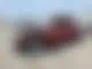 Vehicle Image- 1999 Toyota Tacoma