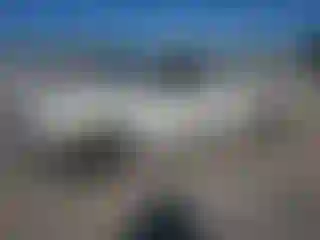 Vehicle Image- 1998 Toyota Tacoma