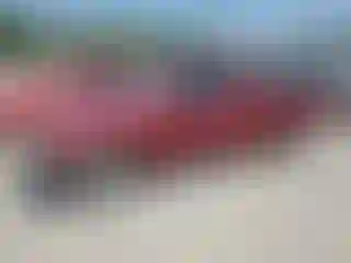 Vehicle Image- 1999 Toyota Tacoma