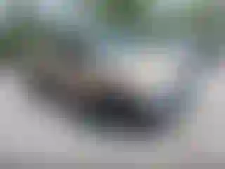 Vehicle Image- 1998 Toyota Tacoma