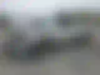 Vehicle Image- 2000 Toyota Tacoma