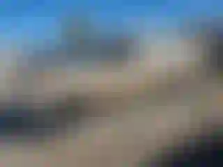 Vehicle Image- 1996 Toyota Tacoma