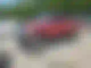 Vehicle Image- 1995 Toyota Tacoma