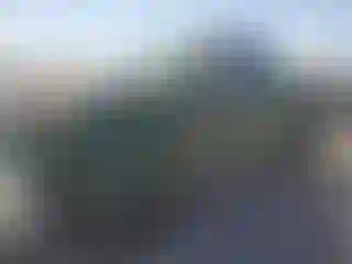 Vehicle Image- 1995 Toyota Tacoma