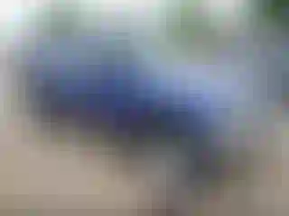 Vehicle Image- 1996 Toyota Tacoma