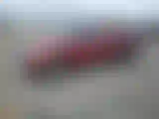 Vehicle Image- 1998 Toyota Tacoma