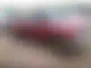 Vehicle Image- 1996 Toyota Tacoma