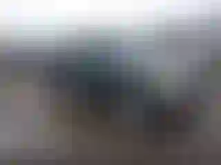 Vehicle Image- 2000 Toyota Tacoma