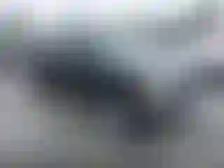Vehicle Image- 1998 Toyota Tacoma