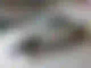 Vehicle Image- 2000 Toyota Tacoma