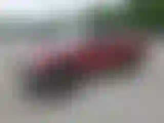 Vehicle Image- 1999 Toyota Tacoma