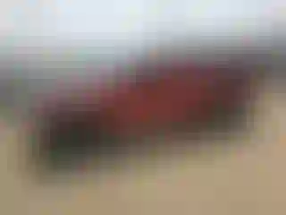 Vehicle Image- 2000 Toyota Tacoma
